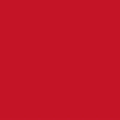 09/F.COULEUR RED-09 DIM.33X23cm/750-850°C