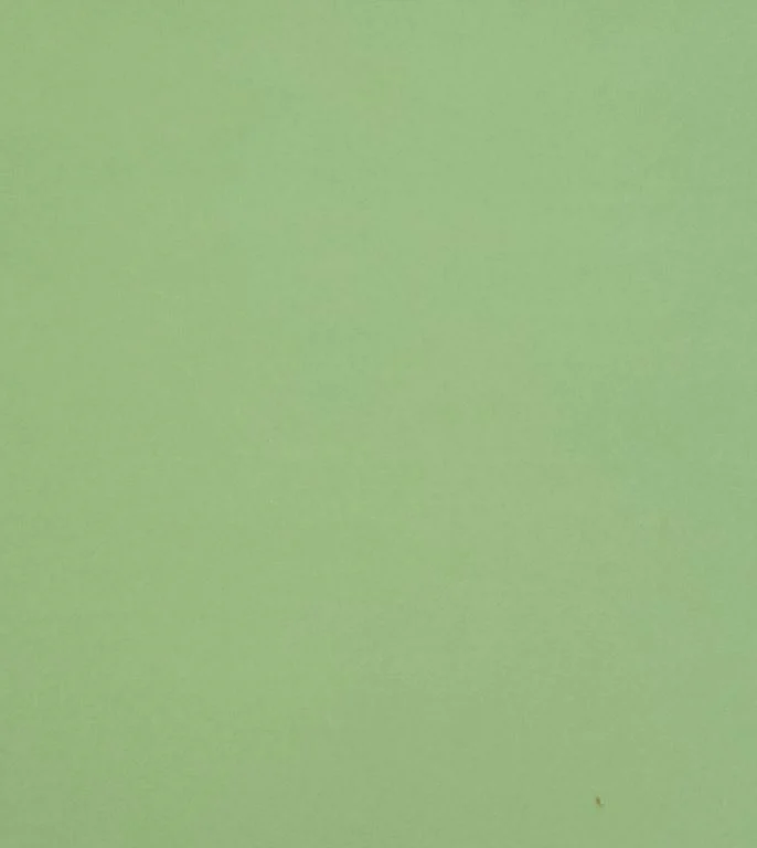 26/F.COULEUR CITRON VERT -26 DIM.33X23cm/750-850°C