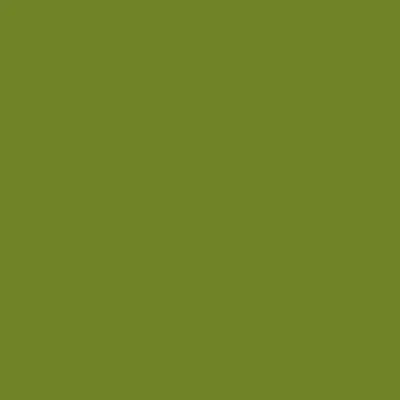 CERA 8102 VERT PRAIRIE (750-840°C)