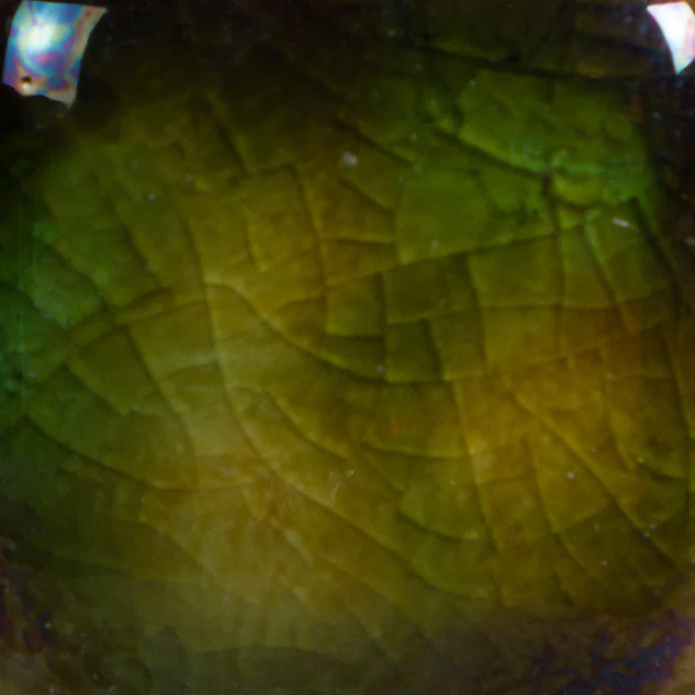 Émail brilliant Mayco Jungle Gems® - CG707 Woodland Fantasy - Image 2