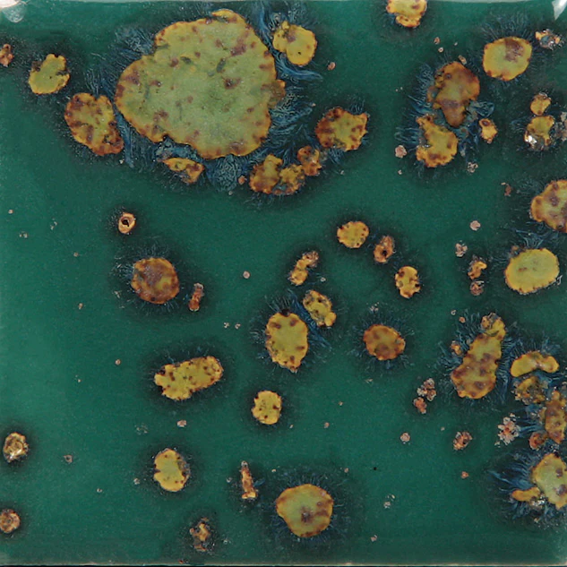 Émail brilliant Mayco Jungle Gems® - CG780 Mystic Jade
