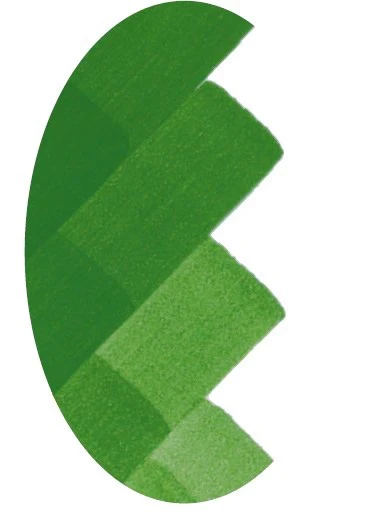 CSC 1002 VERT FONCE