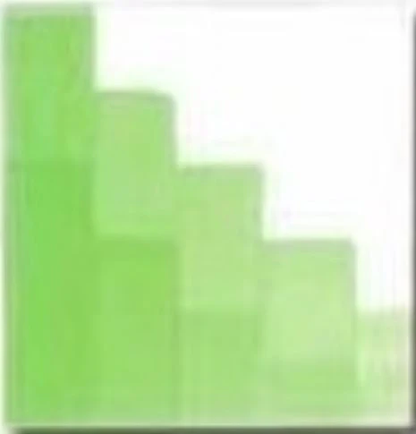 CSC 1007 VERT POMME