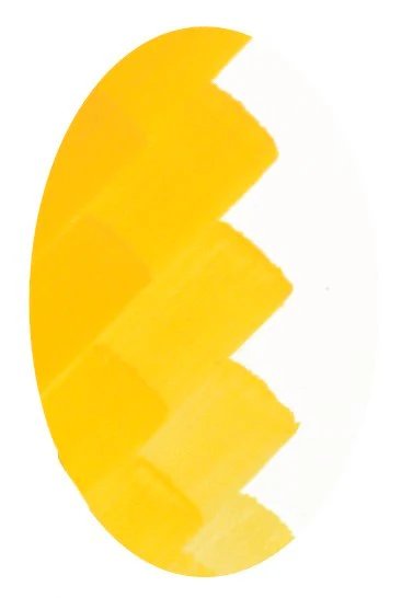 CSC 1009 JAUNE