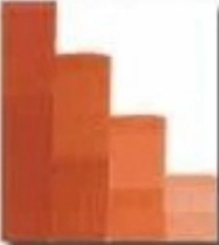CSC 1011 MARRON