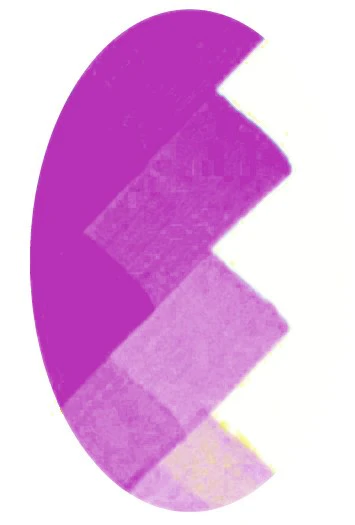 CSC 1077 MAUVE