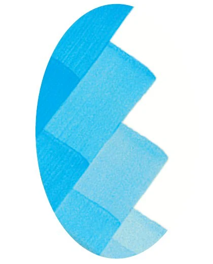 CSC 1129 BLEU