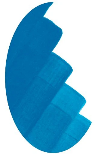 CSC 1263 BLEU