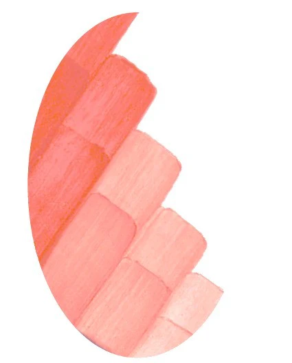 CSC 1266 ROSE SAUMON