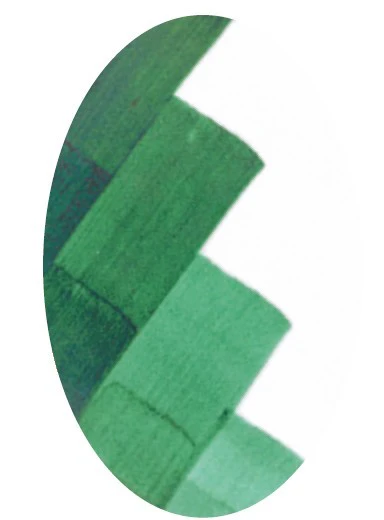 CSC1004 VERT CUIVRE