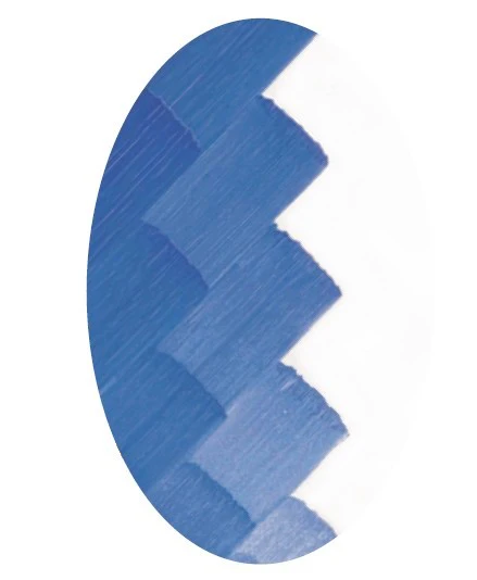 CSM 117 BLEU