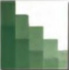 CSM 12 VERT