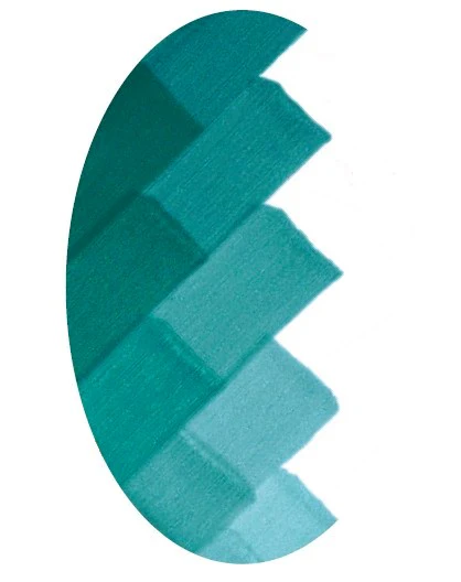 CSM 13 BLEU VERT