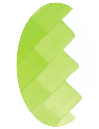 CSM 16 VERT CLAIR