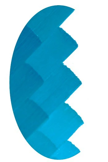CSM 61 BLEU