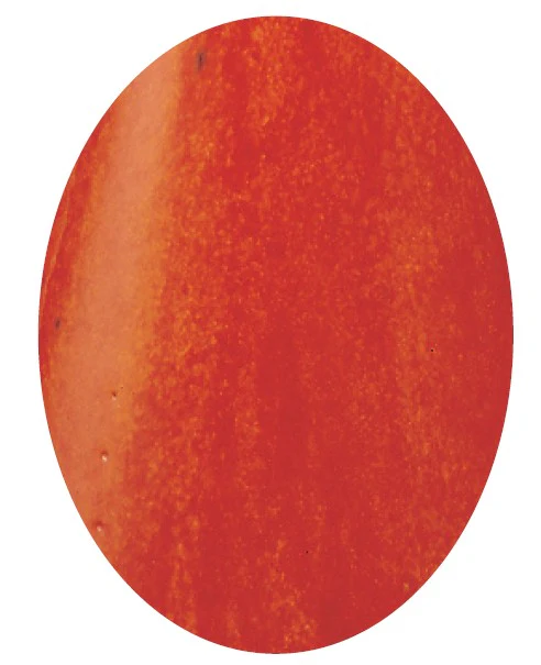 EF 101 ROUGE