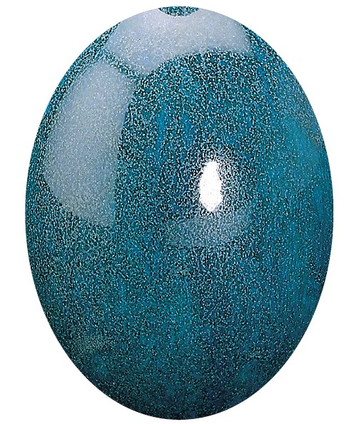 EF 123 VERT TURQUOISE