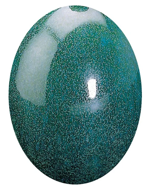 EF 32 BLEU EGE