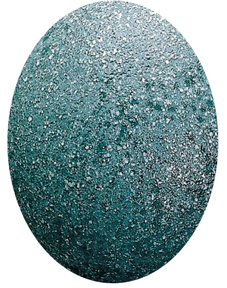 EF 37 BLEU VERT GRANITE