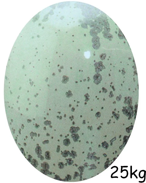 EG 112 VERT MER - Image 2