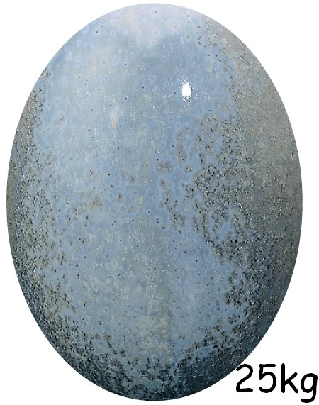 EG 21 BLEU CRISTAL - Image 2