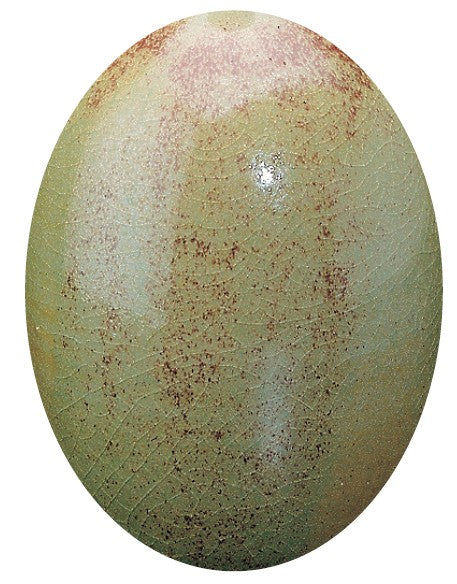 EG 70 OCRE