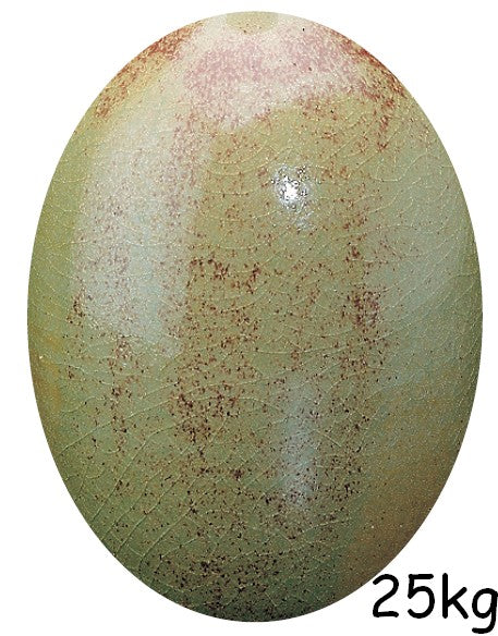 EG 70 OCRE - Image 2