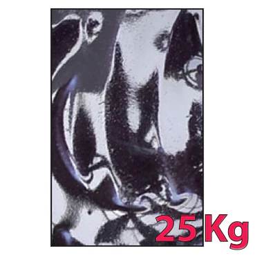 EK095 VIOLET - Image 2