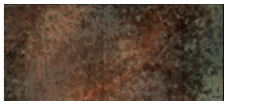 EMAIL RAKU RL719 CUIVRE MAT