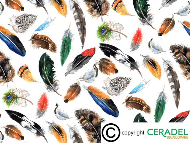PLUMES CHINTZ Dim.50X70cm/750-850°C