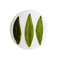 POT 11 VERT OLIVE