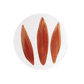 POT 55 ROUGE ECARLATE