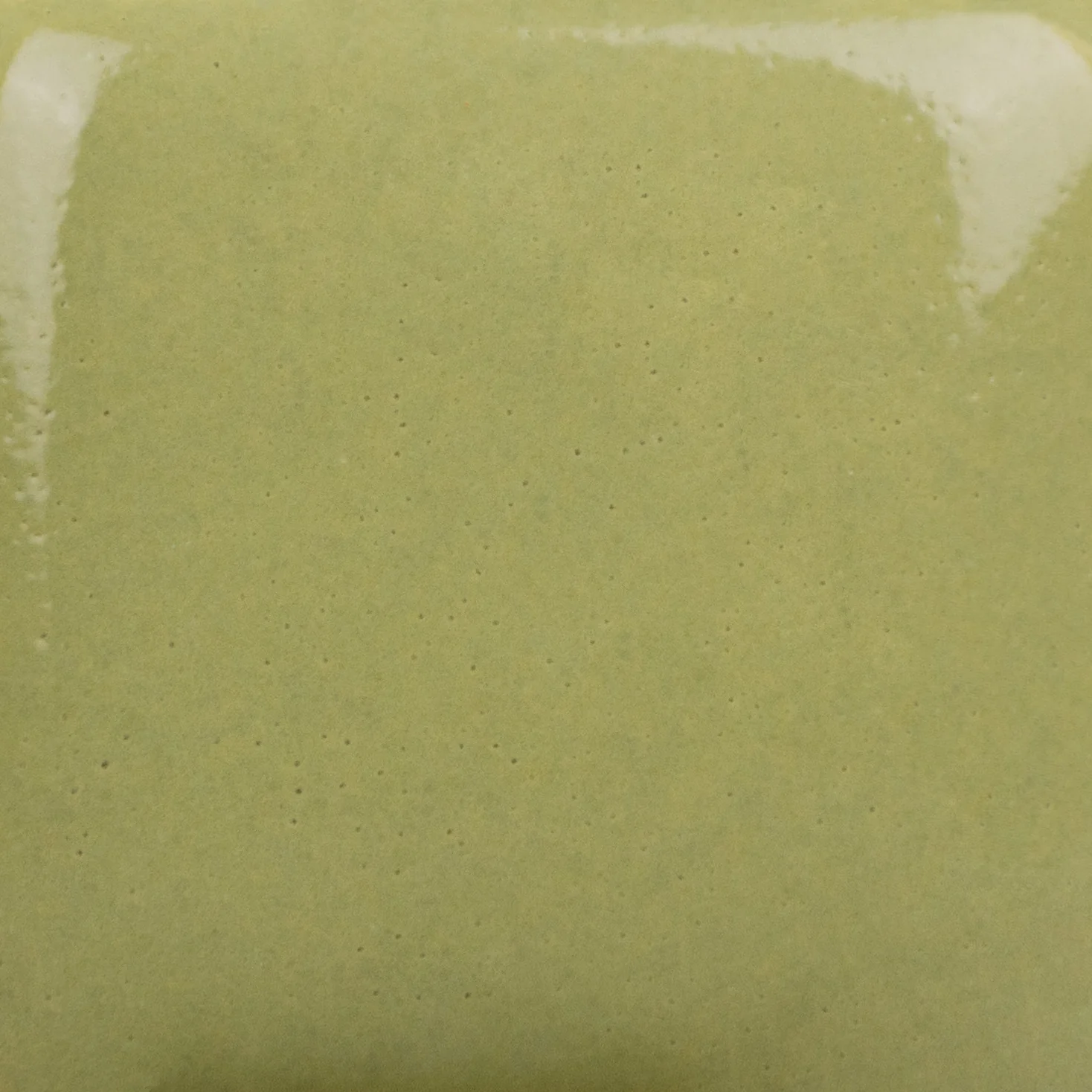 Émail brilliant Mayco Stroke&Coat® - SC079 It's Sage - Image 2